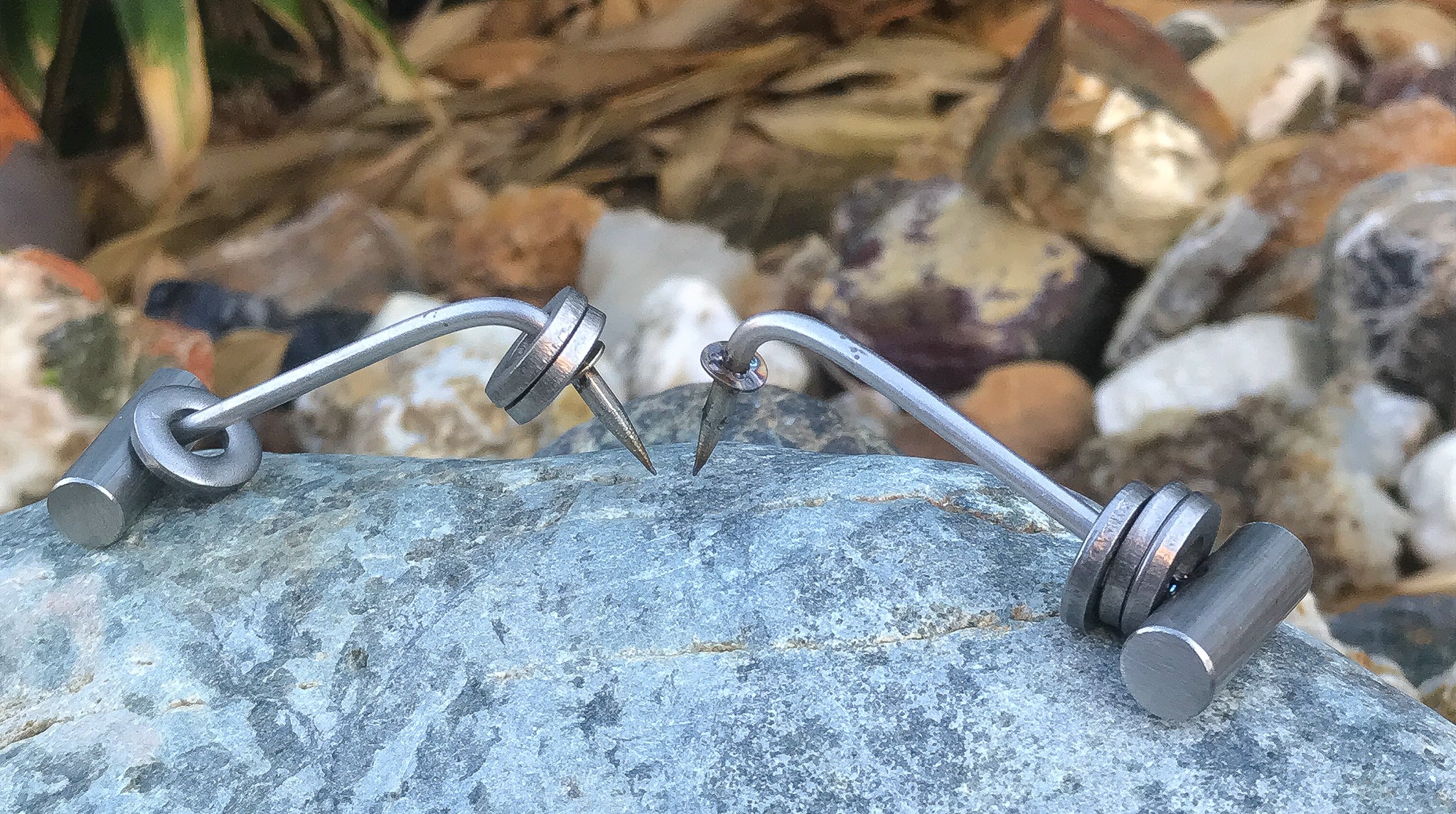 Lions Claw Silver - Image 8