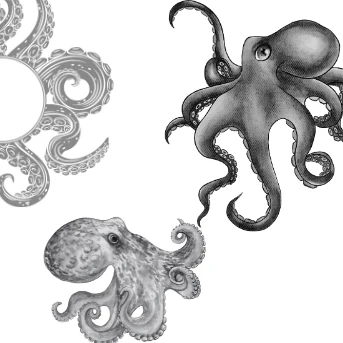 Project X Hot Rollers Sealife Set - Image 5