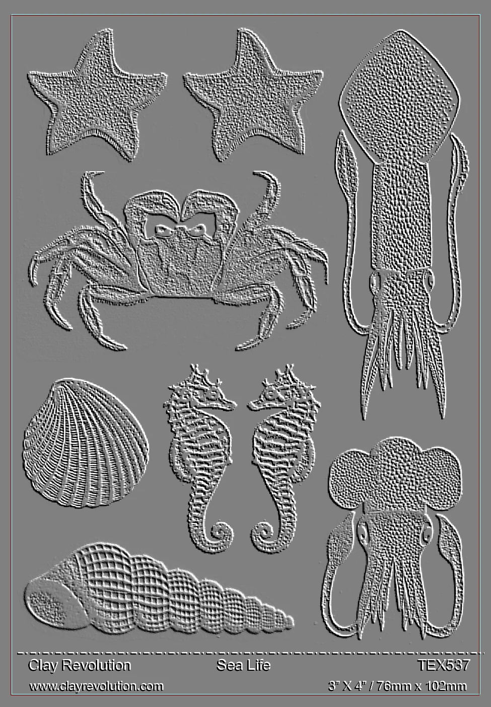 Sea Life Texture Sheet - Image 2